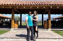 3 Wine Tasting and Harmonized Lunch Tour in Mendoza