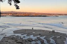 Santa Cruz Surf Walk: History and Culture Tour