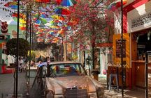 City Tour From Taino Bay And Amber Cove Shore Excursion