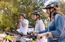 Half Day Wadandi Track Scenic E-Bike Tour