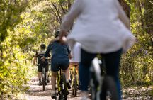 Half Day Wadandi Track Scenic E-Bike Tour