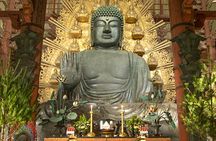 Nara Private Custom Tour｜Sacred Deer, Temples & Timeless Nature