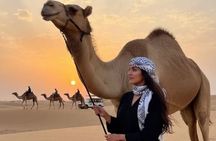Dubai Desert Safari: 4x4 Pickup/Drop,Camel Ride, BBQ & Live Shows