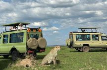 3 Days 2 Nights Maasai Mara Group Safari by 4WD From Nairobi