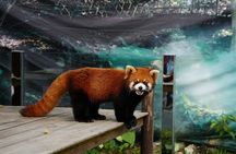 Half Day Private Tour to Yanoda Tropical Rain Forest Park