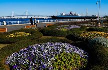 Walking Private Tour of Yokohama Cosmo World