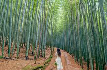 Busan to Gyeongju UNESCO Legacy Tour
