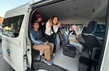 Aswan to Luxor to Visit Kom Ombo and Edfu Temples Sharing Tour