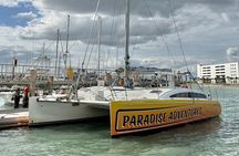 Dolphin Sightseeing Tour on Lazy Daze