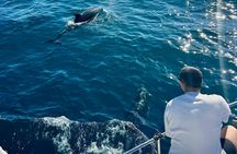 Boat Tour with Snorkeling, Slide, Lunch and Pick Up