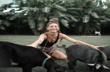 Goat Yoga Group Session