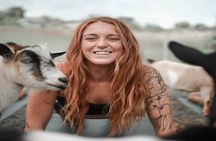 Goat Yoga Group Session