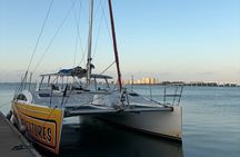 Sunset & Dolphin Sightseeing Sail Aboard the Lazy Daze Catamaran