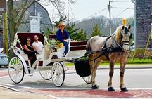 Wickford Horse Drawn Carriage Ride