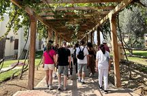 1 Day Trip to Huacachina