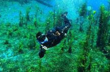 Beautiful : Snorkeling at the Blue River Fervedouro