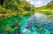 Beautiful : Snorkeling at the Blue River Fervedouro
