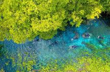 Beautiful : Snorkeling at the Blue River Fervedouro