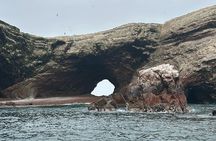 2-Day Tour in Paracas and Visit Huacachina