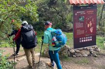 Short Inca Trail 2 Day Hike to Machu Picchu with Permits & Train