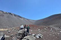 Private Mt. Fuji Hoei Crater Hiking and Sightseeing Tour