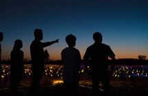 Uluru (Ayers Rock) Field of Light Sunrise Tour
