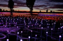 Uluru (Ayers Rock) Field of Light Sunrise Tour