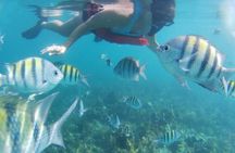 Snorkel the Reefs Adventure