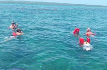 Snorkel the Reefs Adventure