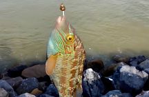 Private Atlantic Fishing and Coastal Tour Casablanca to Bouznika