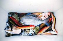 Private Atlantic Fishing and Coastal Tour Casablanca to Bouznika