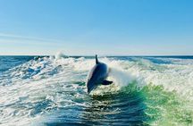 Sandestin: 40' Private Yacht Excursion with Luxury Amenities