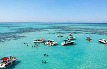 Luxury Private Speedboat El Gouna Bayoud Island or Swim Dolphin