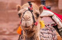 Highlights of Jordan Tour 5 Days of History Petra and Wadi Rum