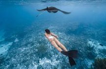 Nusa Penida Snorkeling in 3 Spots with Photo, Boat, and Land Tour