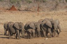 10 Day Safari plus Diani Beach