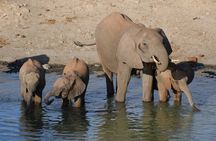 10 Day Safari plus Diani Beach