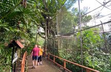 Guided Belize Zoo, Rum factory & Belize City tour