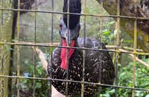 Guided Belize Zoo, Rum factory & Belize City tour