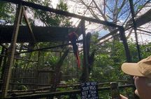 Guided Belize Zoo, Rum factory & Belize City tour