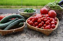 Hiroshima Garden to Table Cooking Class 