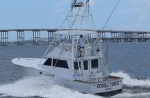 Tournament Style 3/4 Day Fishing Charter With Live Bait