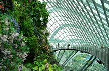 Singapore: Icons of the Lion City with Gardens by the Bay