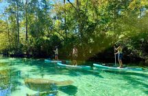 Guided Paddleboard Adventure on Weeki Wachee Springs