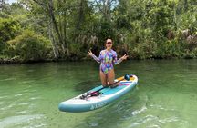 Unguided Paddleboard Adventure at Weeki Wachee Springs
