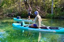 Guided Paddleboard Adventure on Weeki Wachee Springs