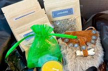 A Sensory and Spiritual Plant Workshop in Santa Fe