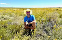 A Sensory and Spiritual Plant Workshop in Santa Fe