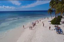 Saona Island Small Group Speedboat Tour with Lunch
