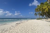 Saona Island Small Group Speedboat Tour with Lunch